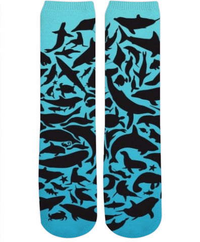 School of Fish