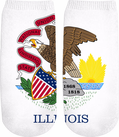 State of Illinois