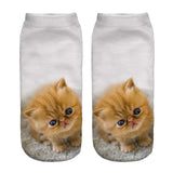 Be Trendy!!! Cool 3D Animal Print Short/Ankle Socks, UNISEX, ONE SIZE